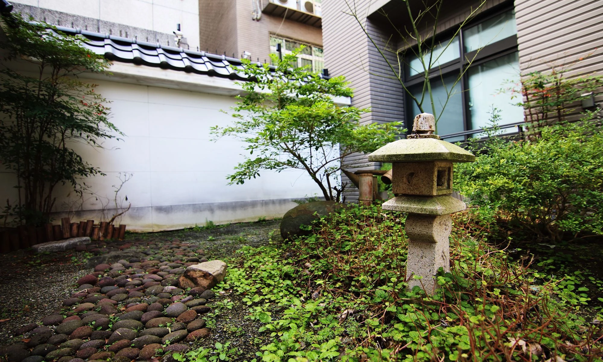 惠宇青田