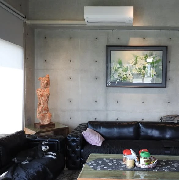 花蓮光華六街後製清水模