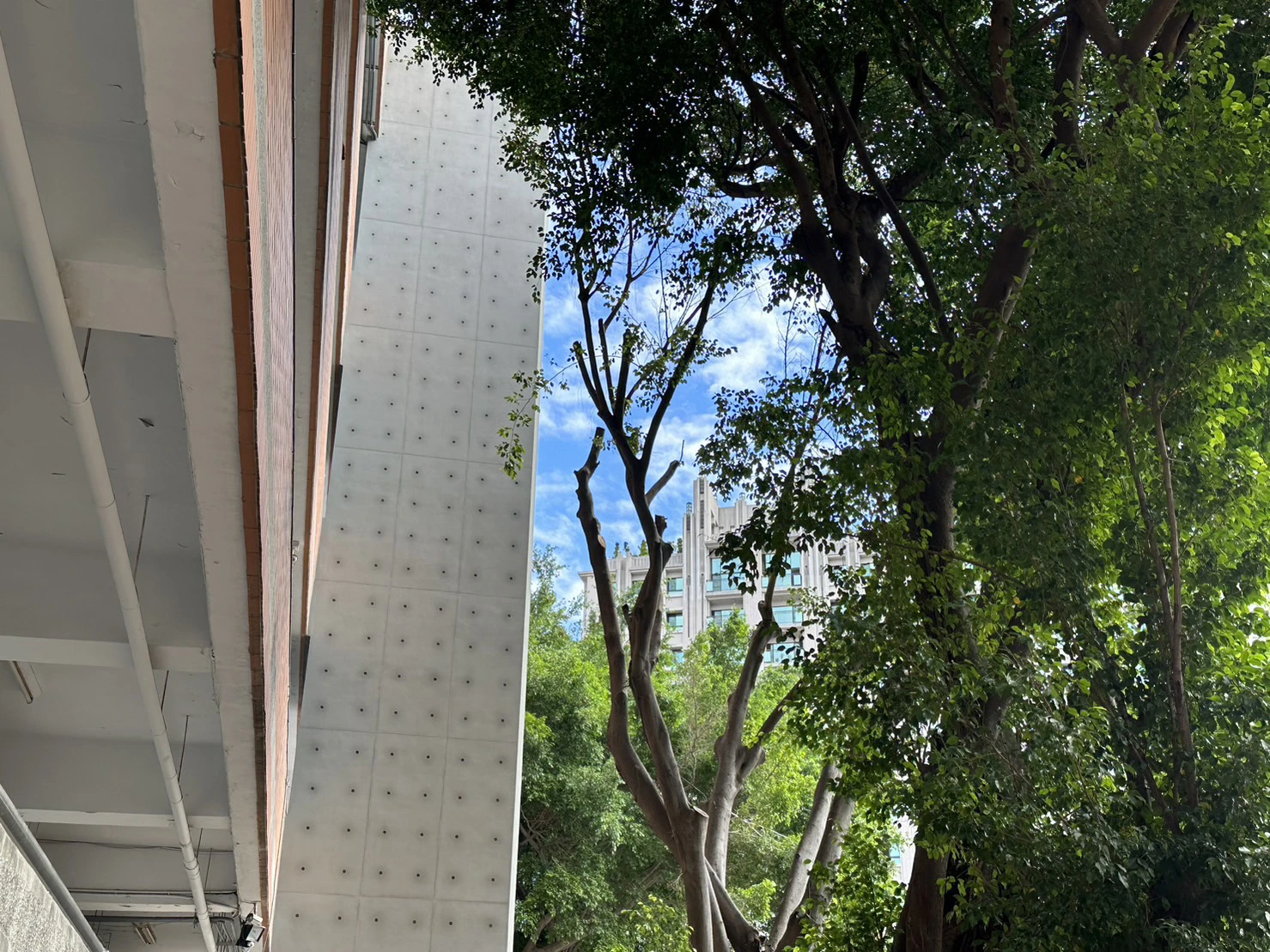 台中忠明高中後製清水模