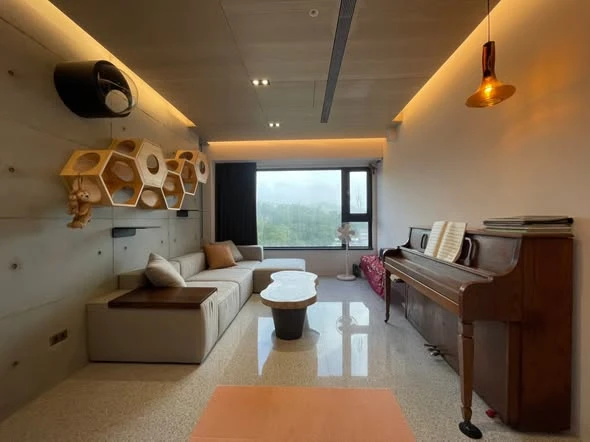 台北貓咪牆後製清水模