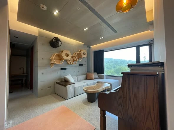 台北貓咪牆後製清水模