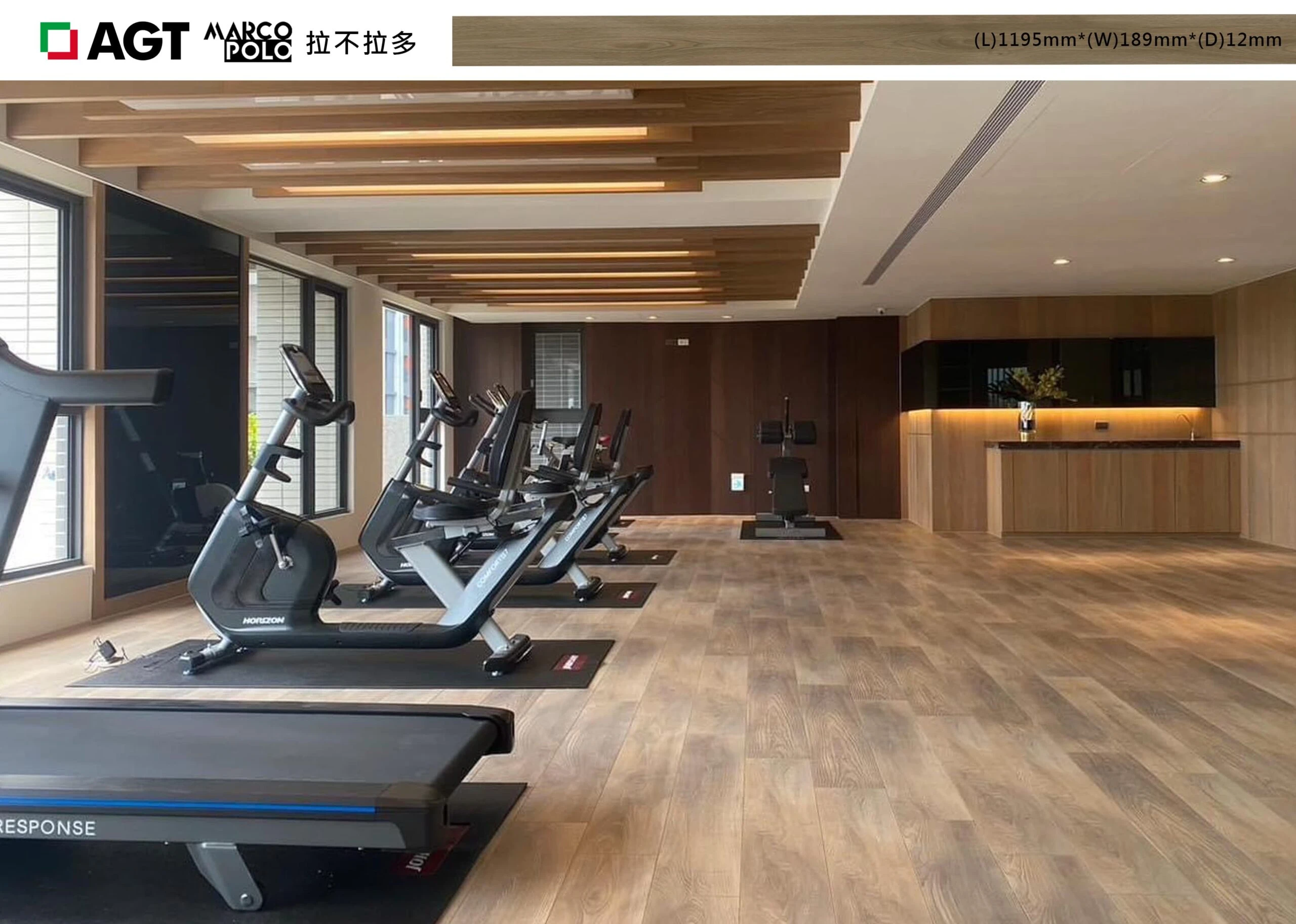 PRK922-4V 拉不拉多 Labrador