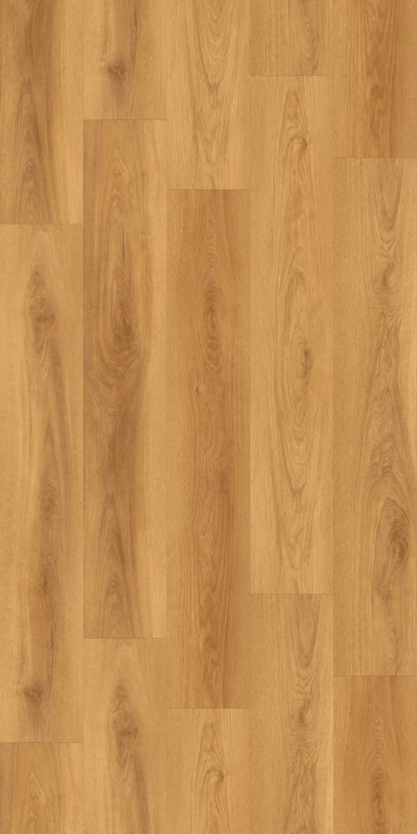 A1508 格里斯原橡