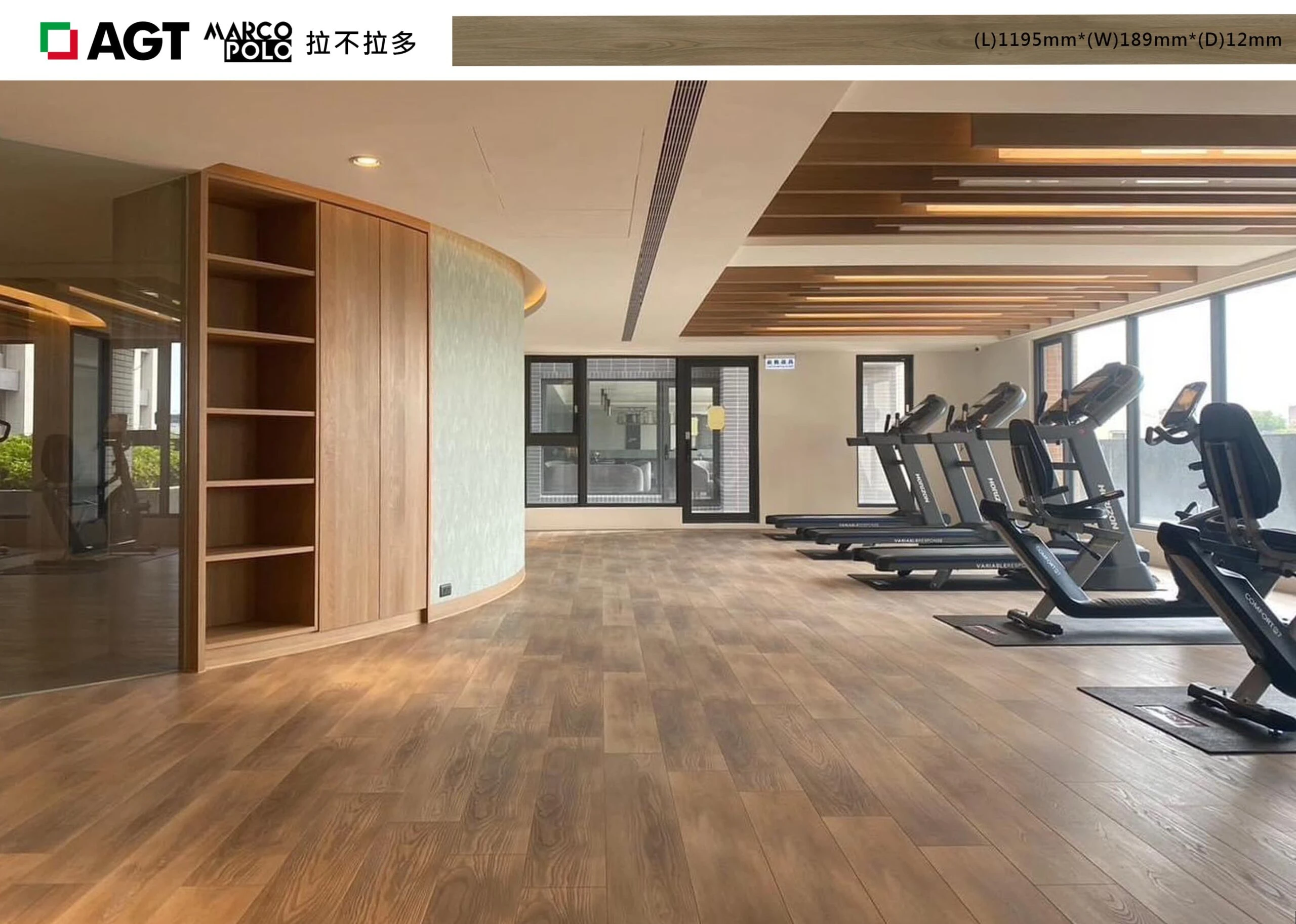 PRK922-4V 拉不拉多 Labrador