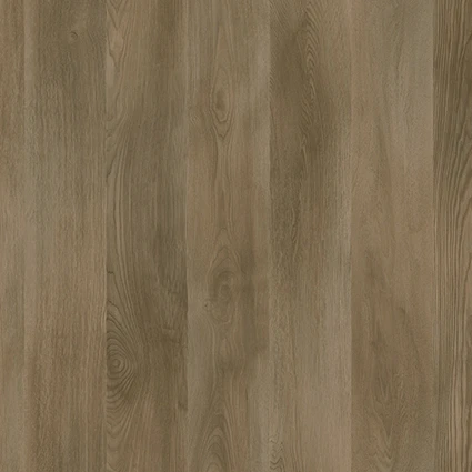 PRK922-4V 拉不拉多 Labrador