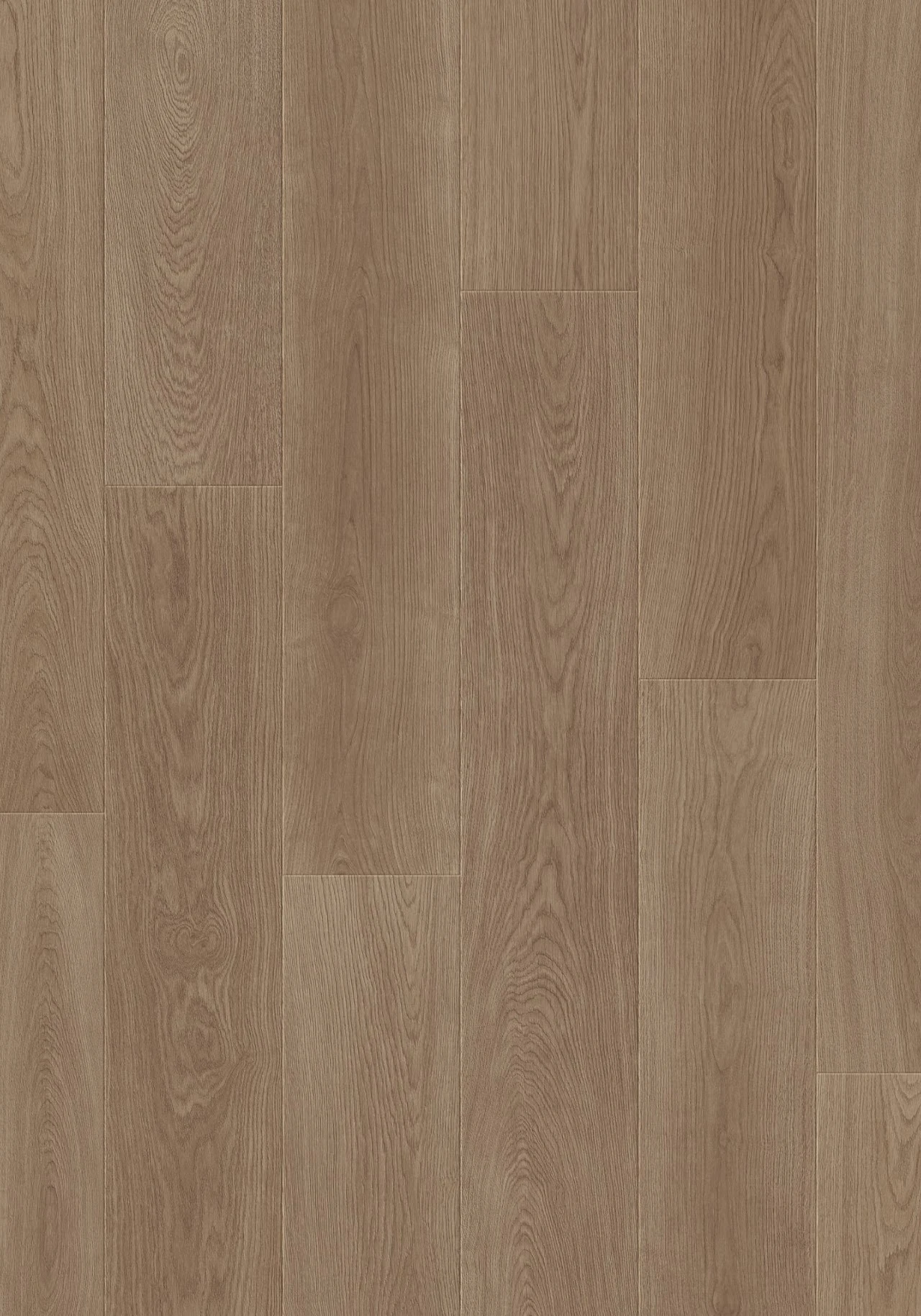 861112 Finn Oak 芬恩橡木