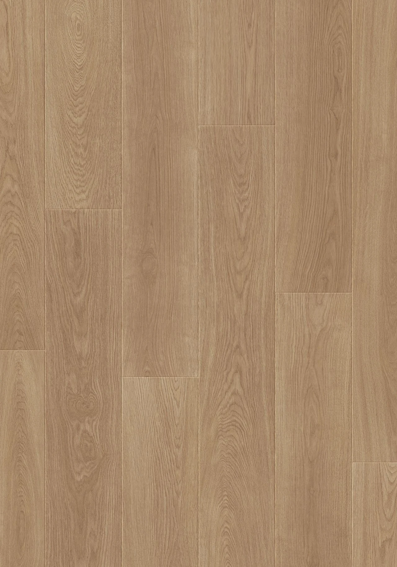 861108 Wynn Oak 韋恩橡木