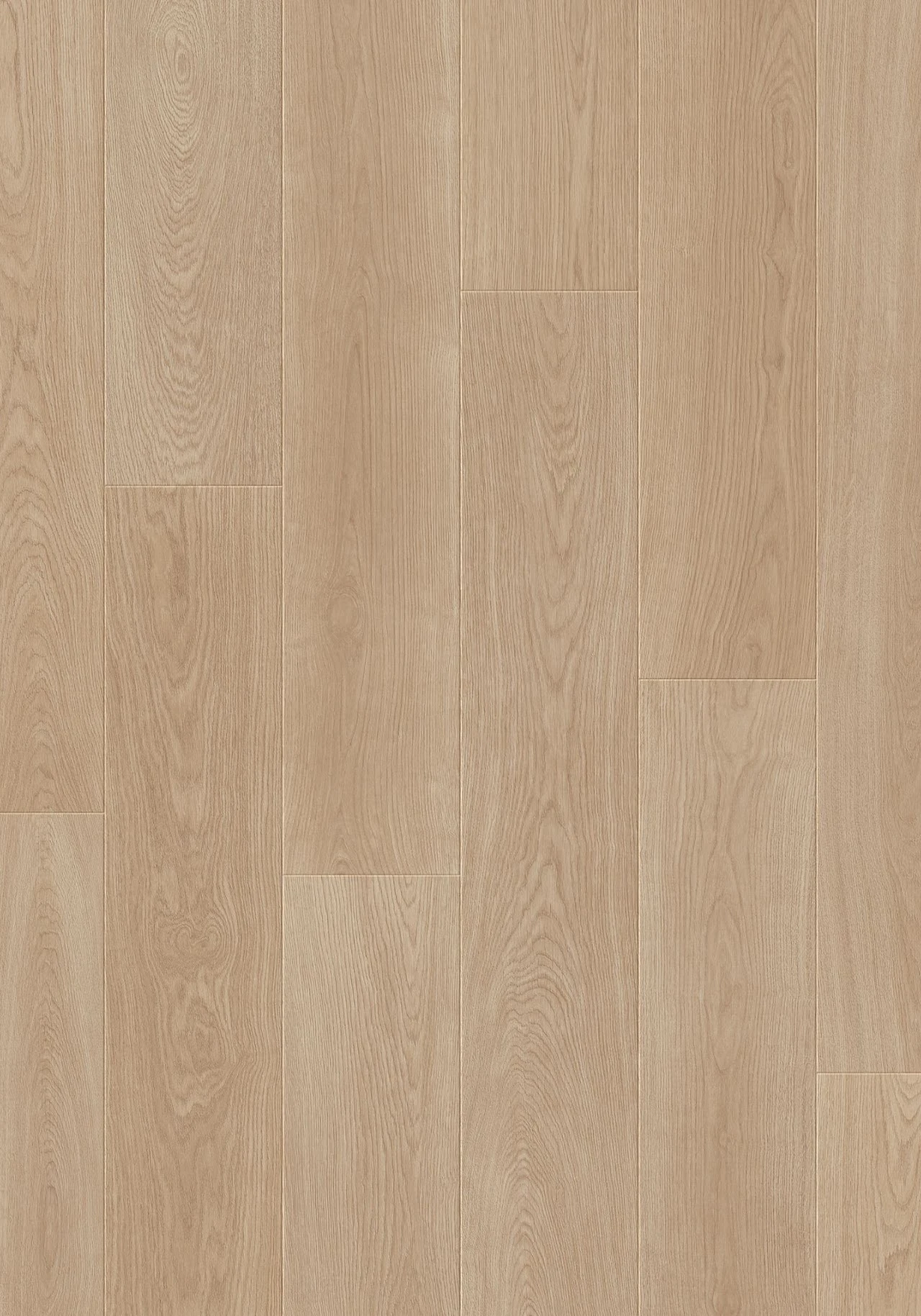 861107 Virgin Oak維京橡木