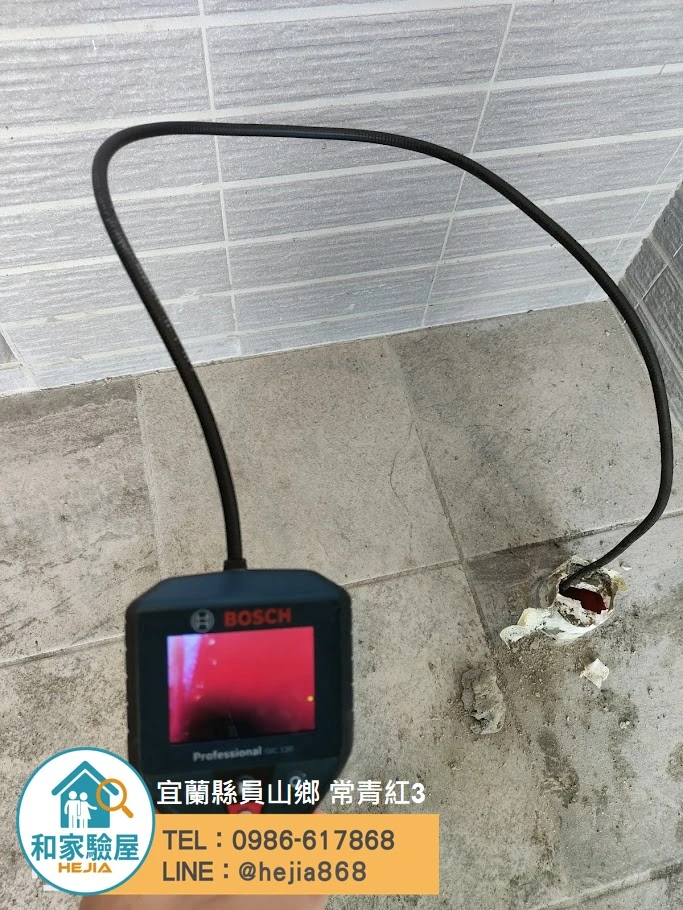 宜蘭縣員山鄉 常青紅3