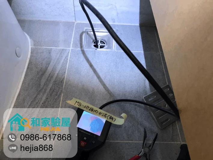 台中市南區 櫻花孩子王2