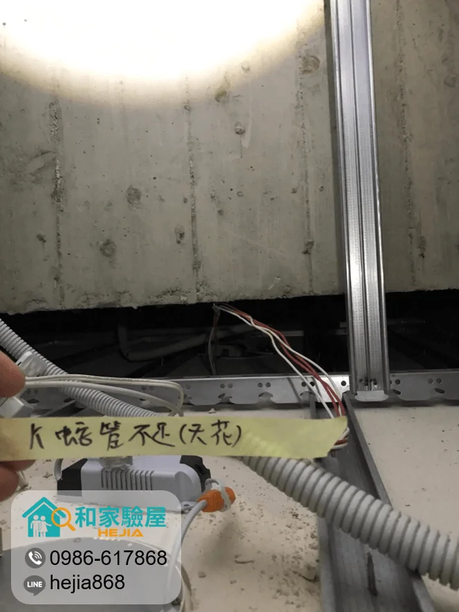 台中市南區 櫻花孩子王
