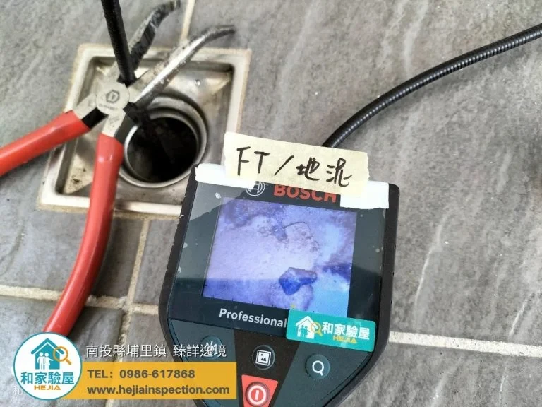 南投縣埔里鎮 臻詳逸境