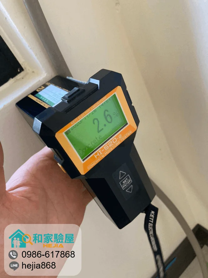 台中市南區 櫻花孩子王2