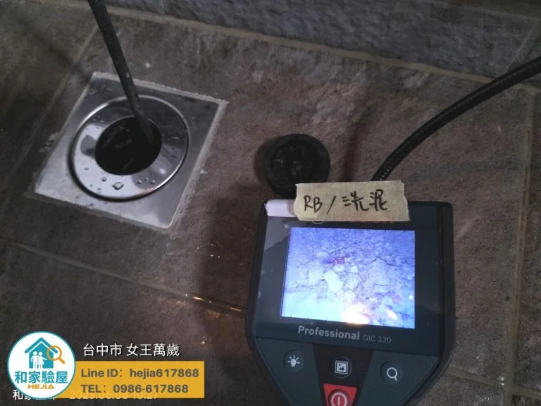 台中市南區 女王萬歲
