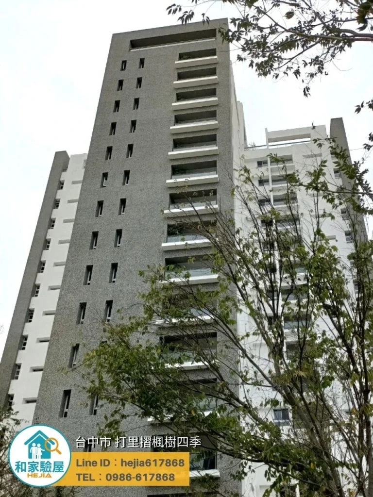 台中市南屯區 打里摺楓樹四季