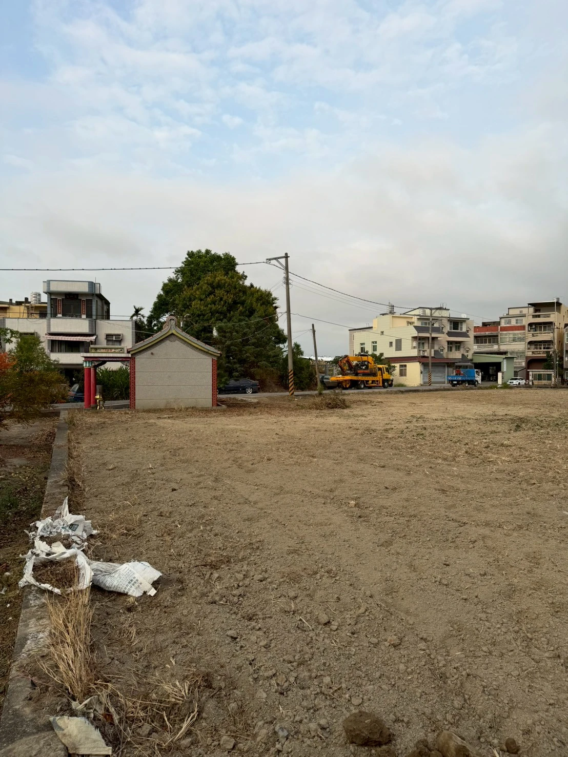 高空樹木矮化修剪-公館福基案