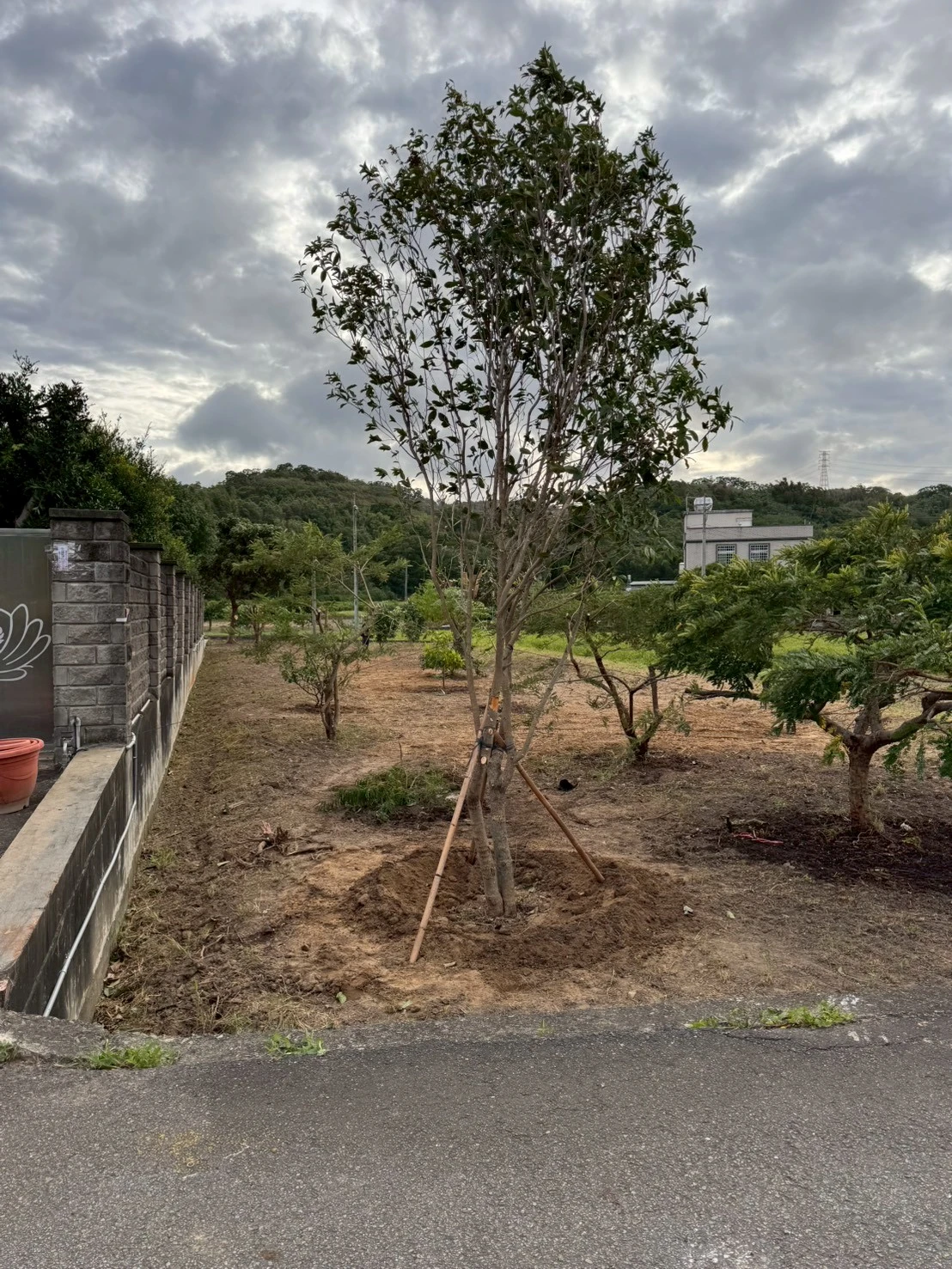 農地開發與景觀維護-苗栗案