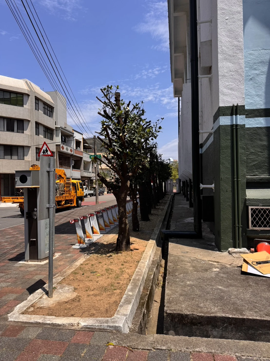 高空樹木矮化修剪-苗栗體育館案