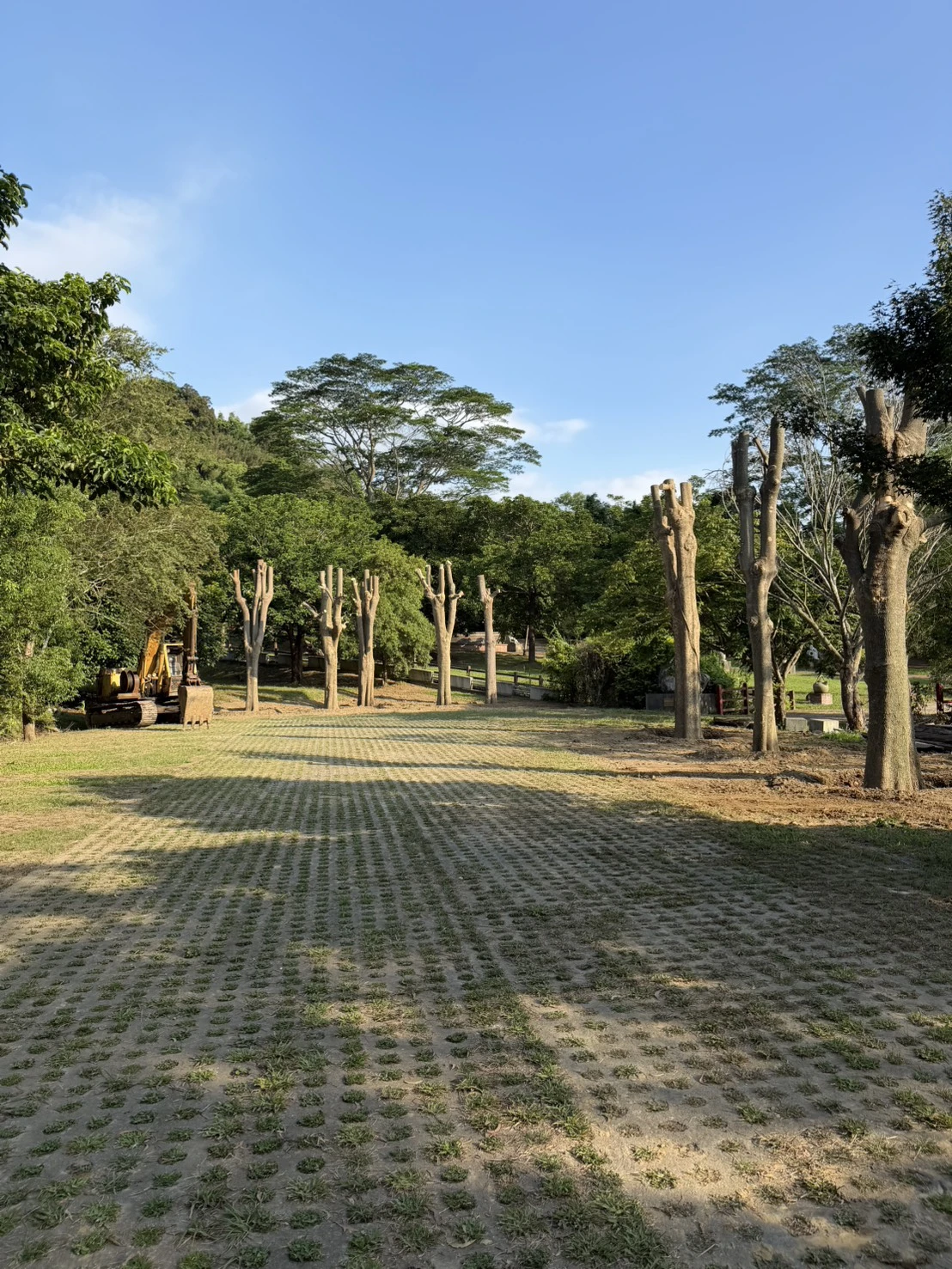 公館兒三公園樹木移植-公館案