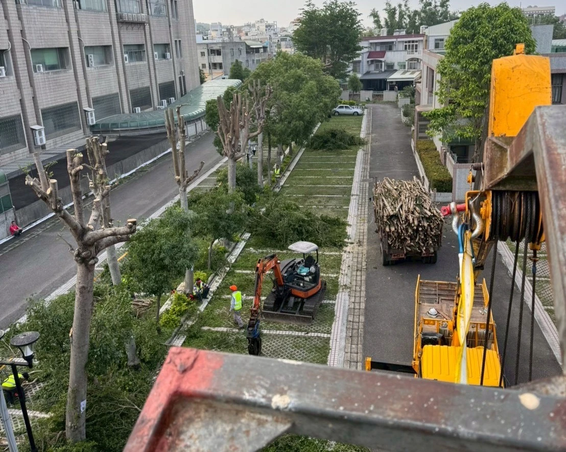 高空樹木矮化修剪