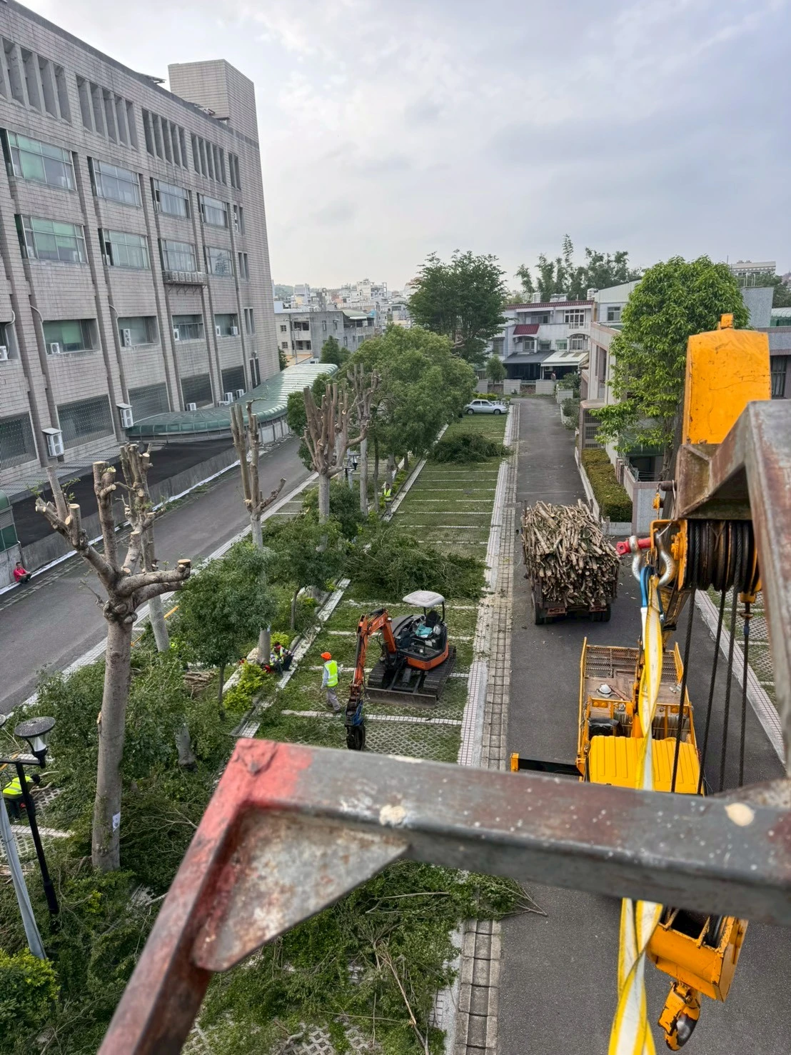 高空樹木矮化修剪-苗栗法院地檢署案
