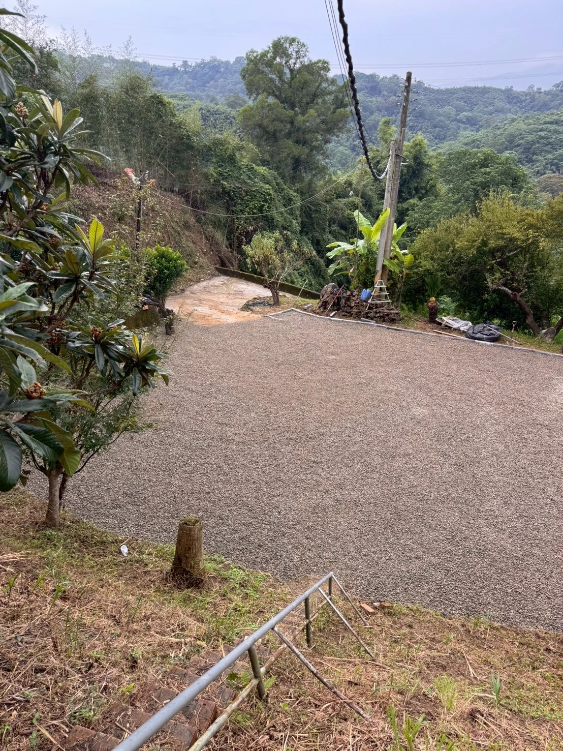 生態水池及場域優化-南湖案