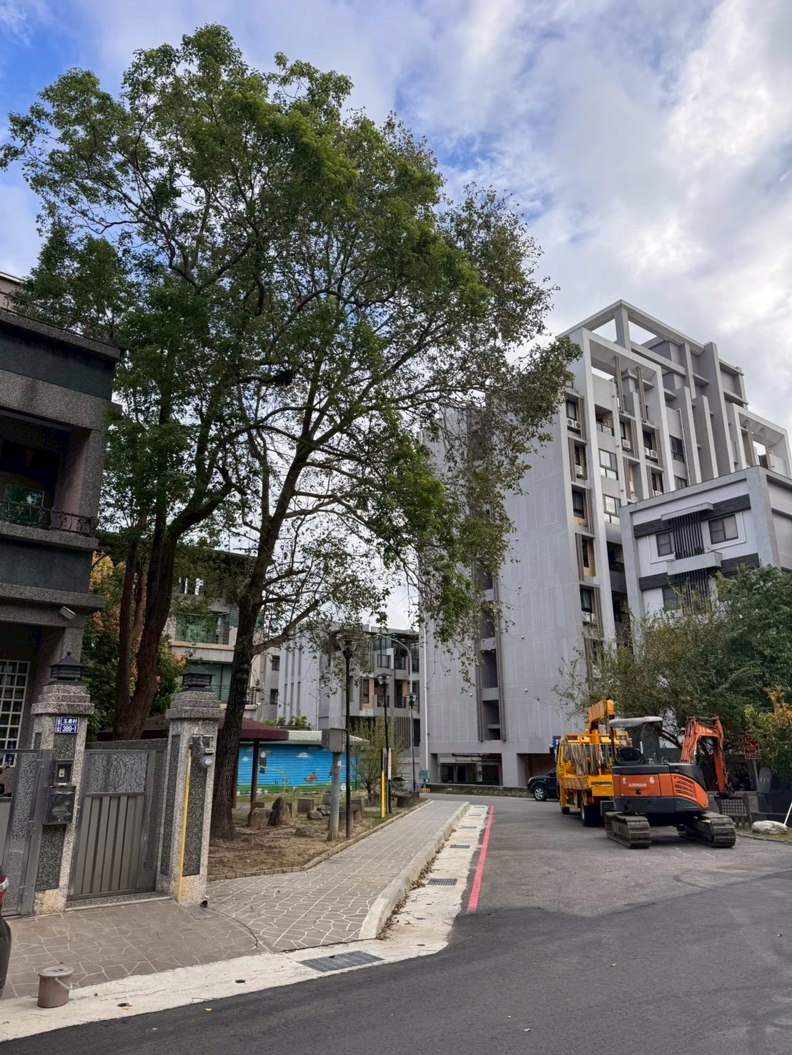 高空樹木矮化修剪-公館社區案