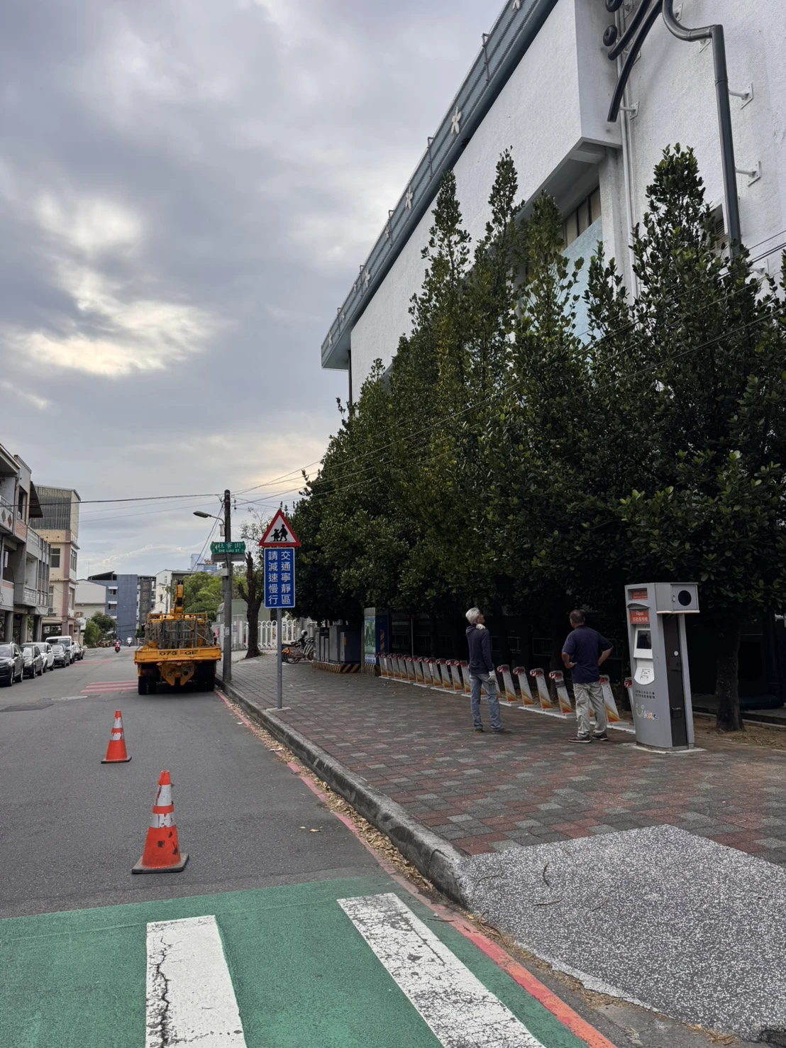 高空樹木矮化修剪-苗栗體育館案