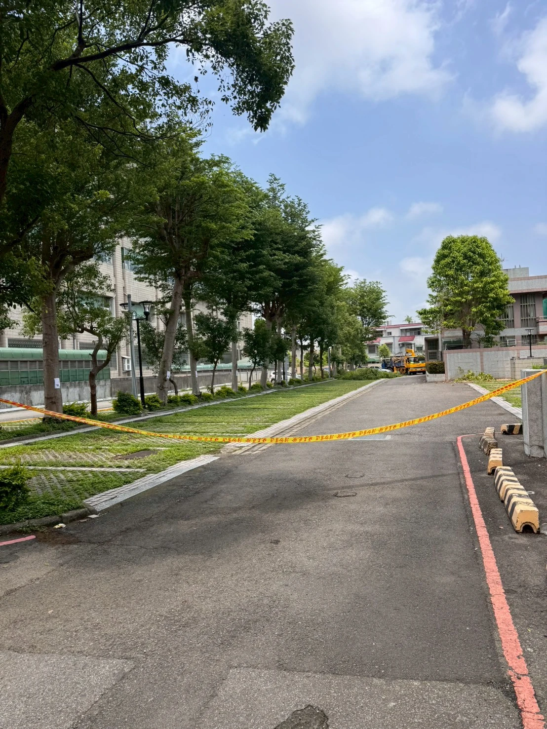 高空樹木矮化修剪-苗栗法院地檢署案