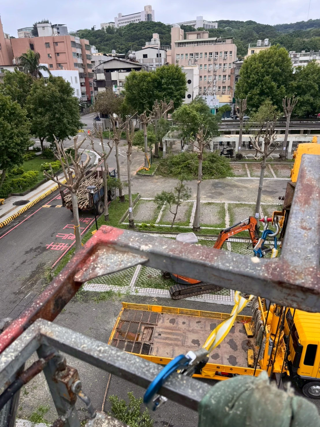 高空樹木矮化修剪-苗栗法院地檢署案