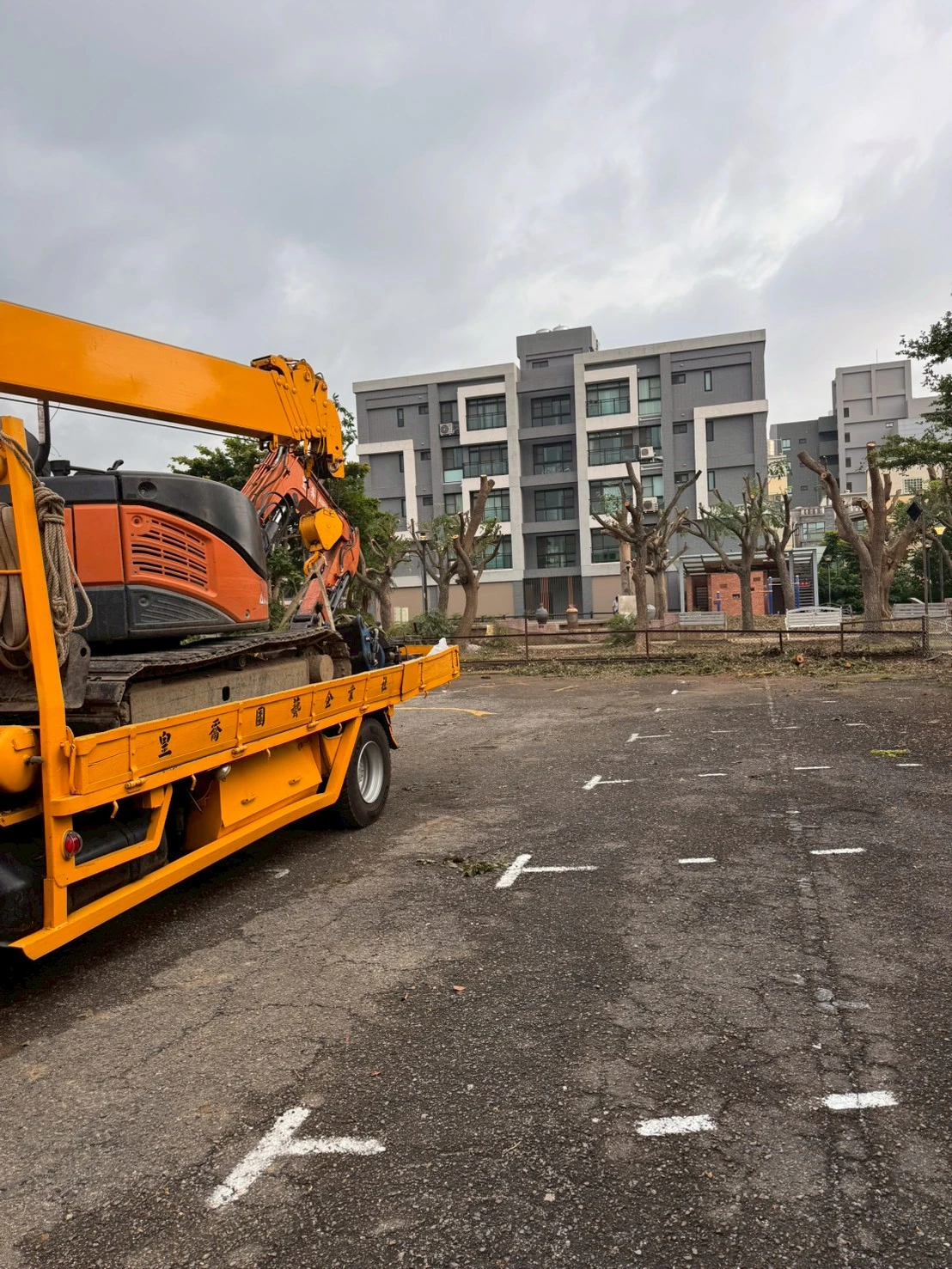 高空樹木矮化修剪-公館公園案