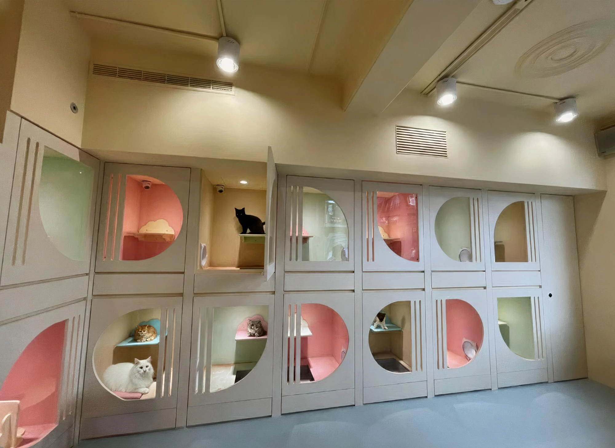 國寶寵物旅館　【吉林】