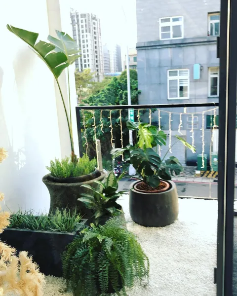 仿生植物是什麼？仿生植物適合擺在哪？