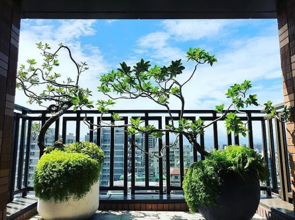 陽台景觀設計