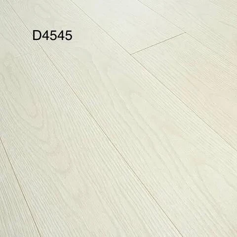 D4545