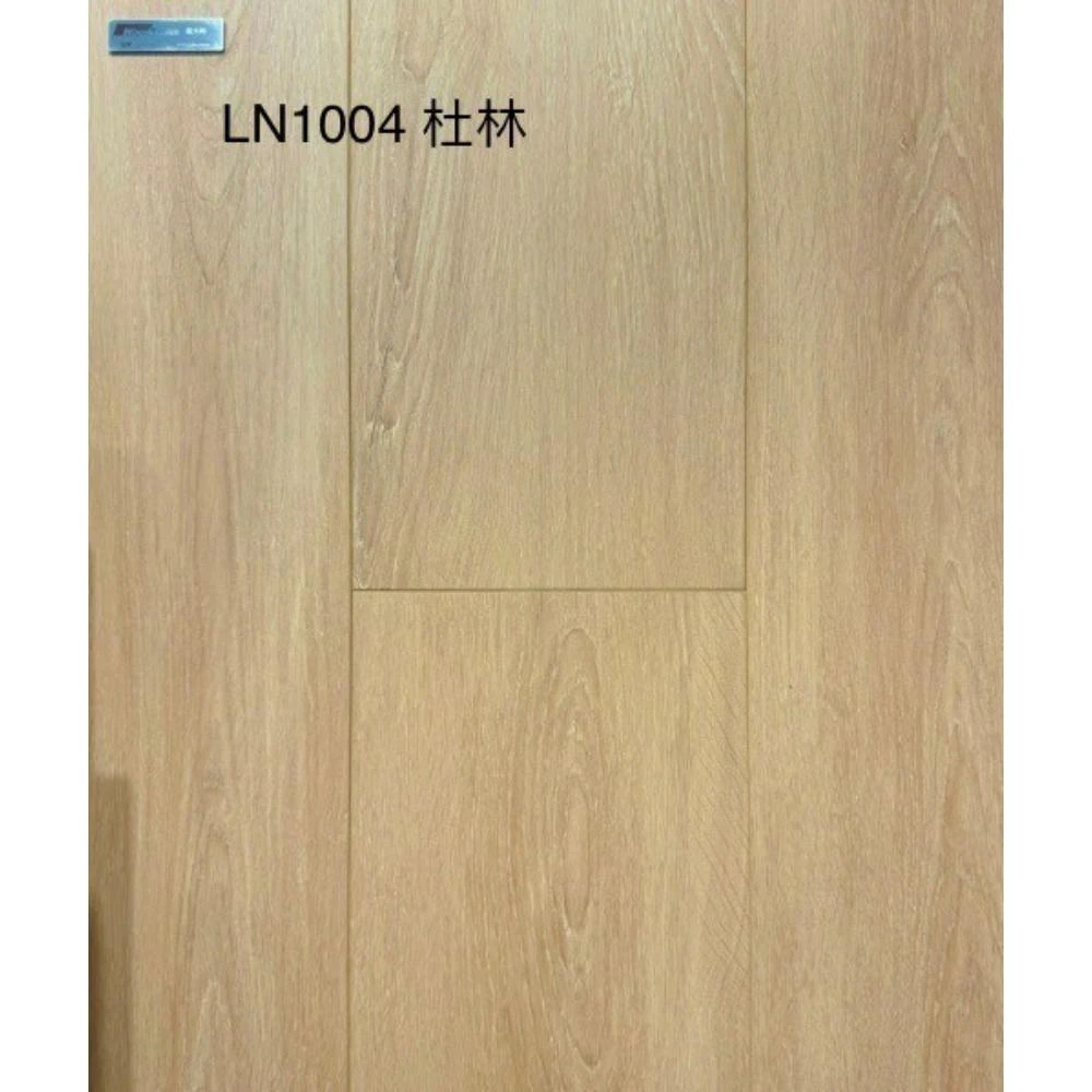LN1004 杜林