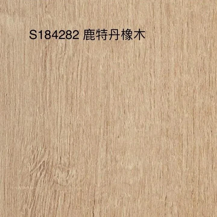 S184282 鹿特丹橡木