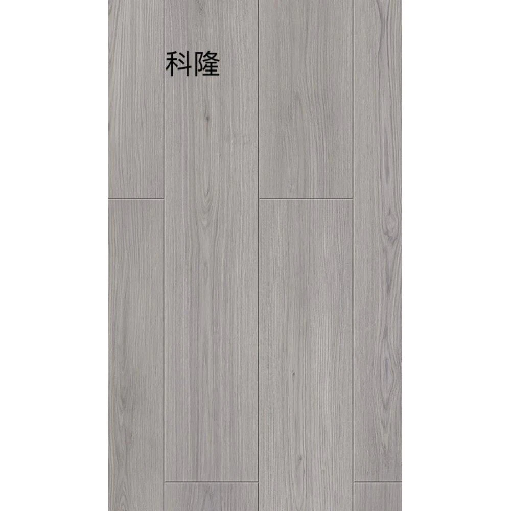 科隆
