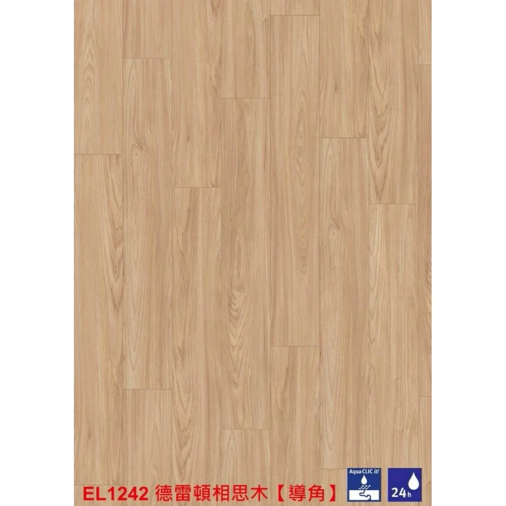 EL1242 德雷頓相思木