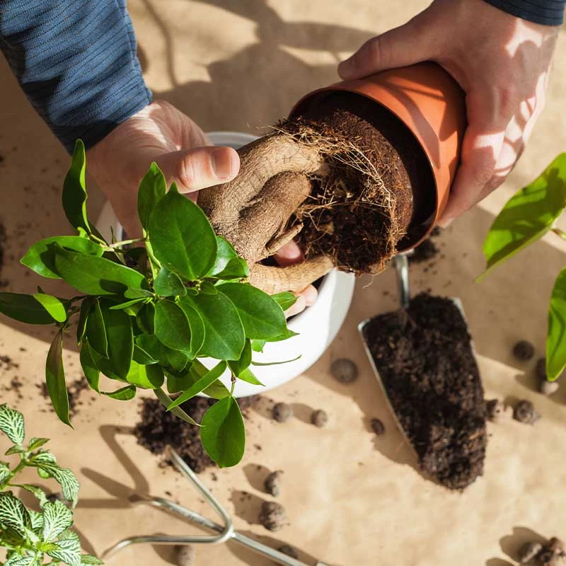 執森興業景觀工程