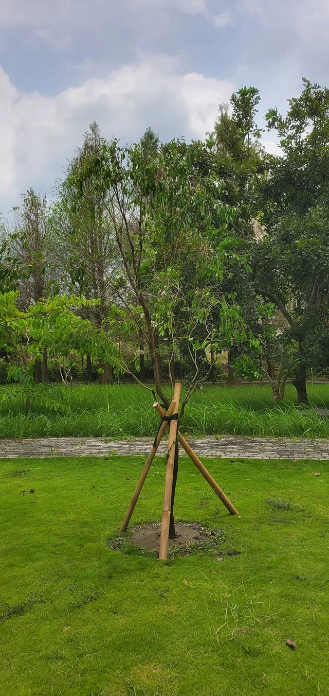 感謝高雄整型權威院長青睞