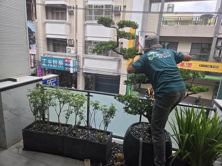 樹木修剪
