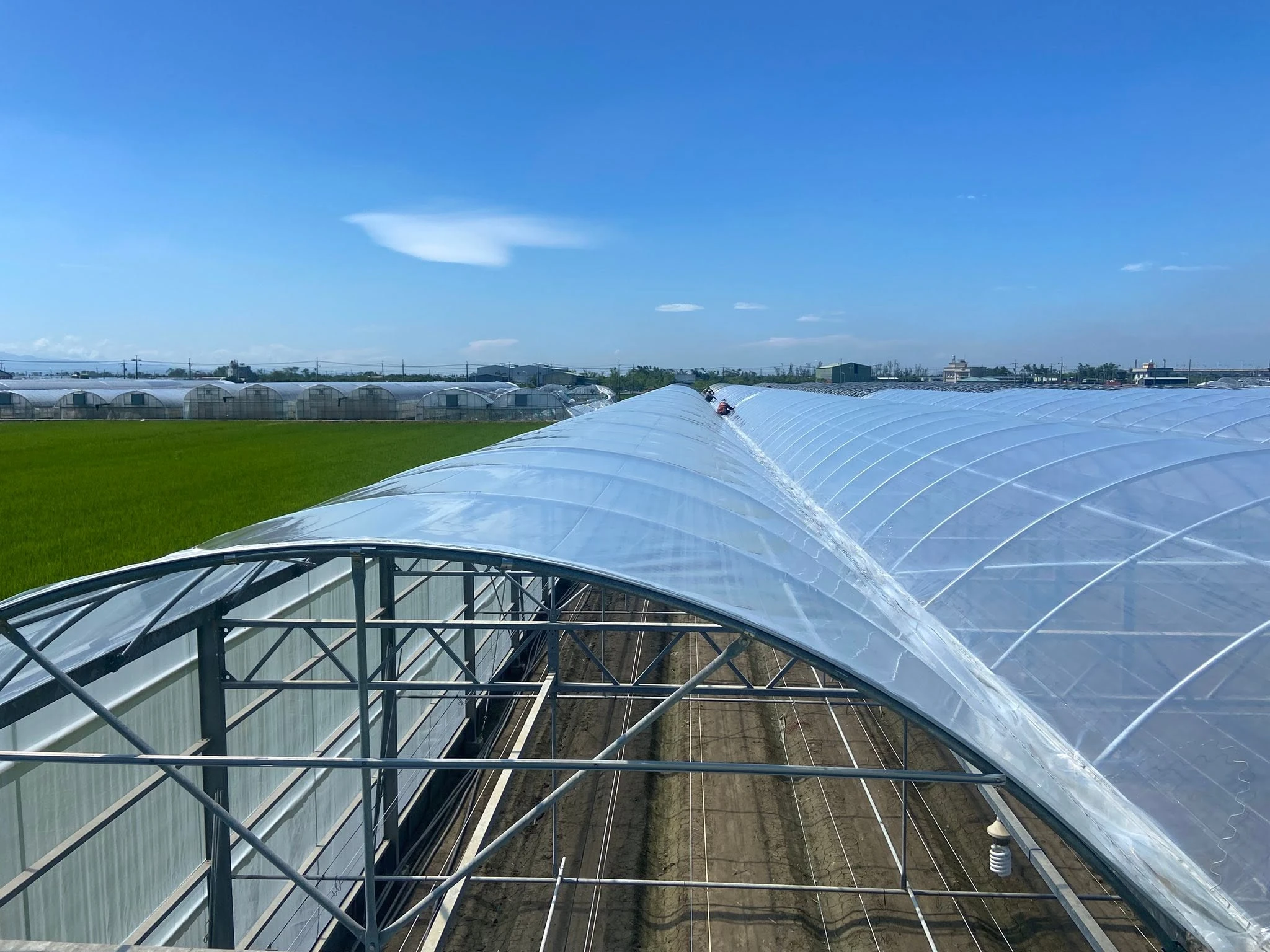 太保工地6年農膜更新
