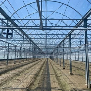 力霸型溫室能抗幾級風？