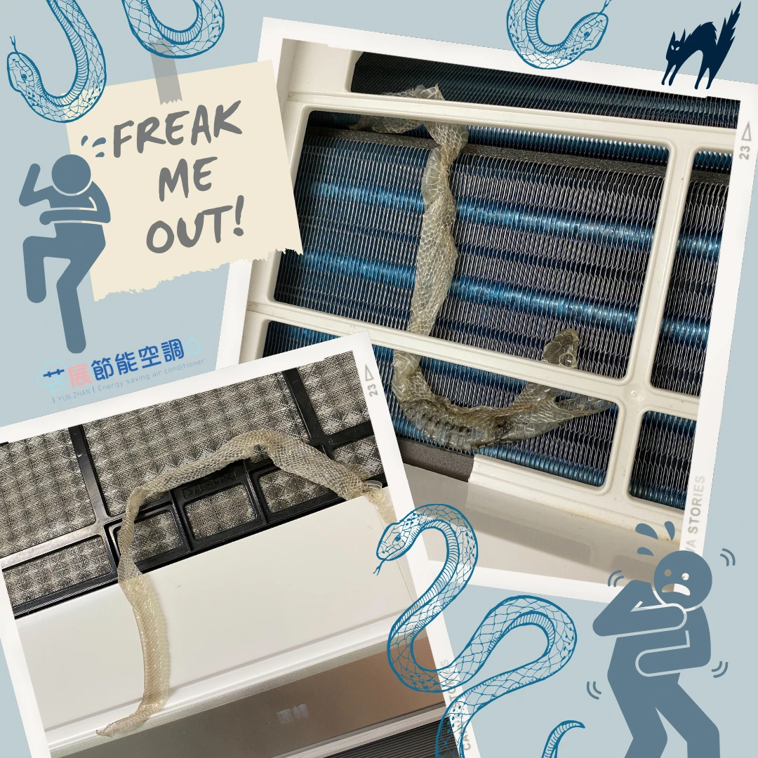 冷氣沒清洗會發生什麼事？連蛇皮都可能藏在裡面！