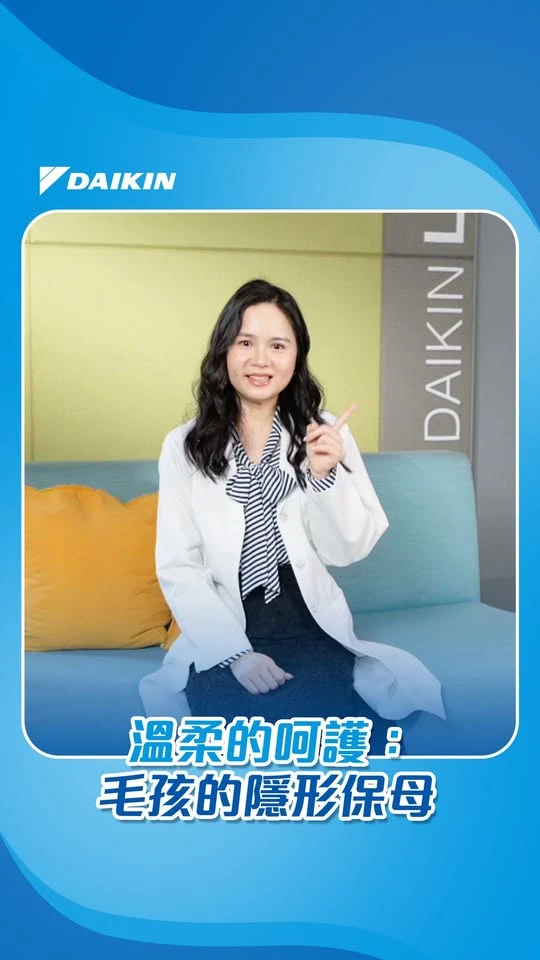 溫柔的呵護：毛孩的隱形保母