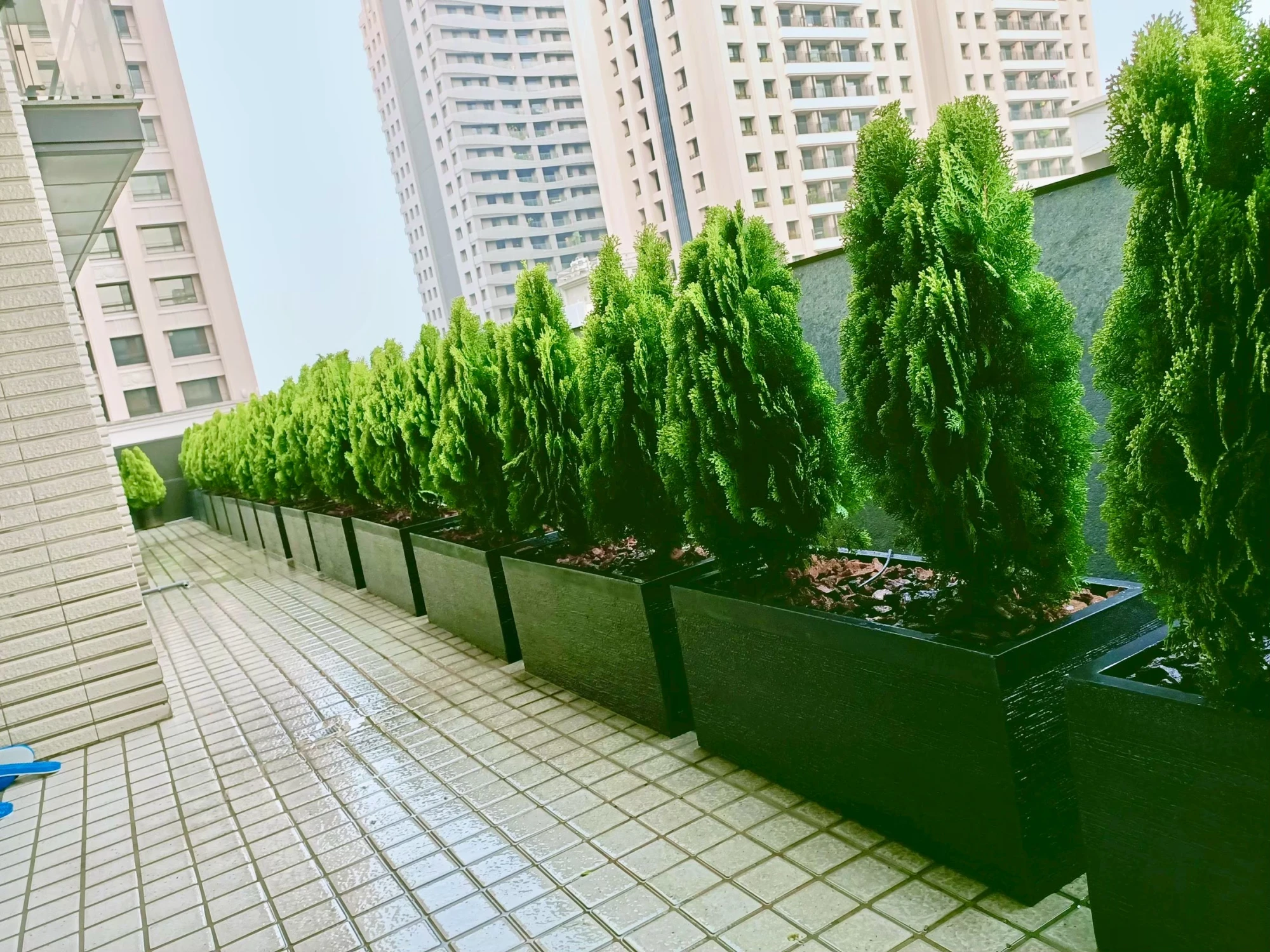 露臺/陽台/花台造景