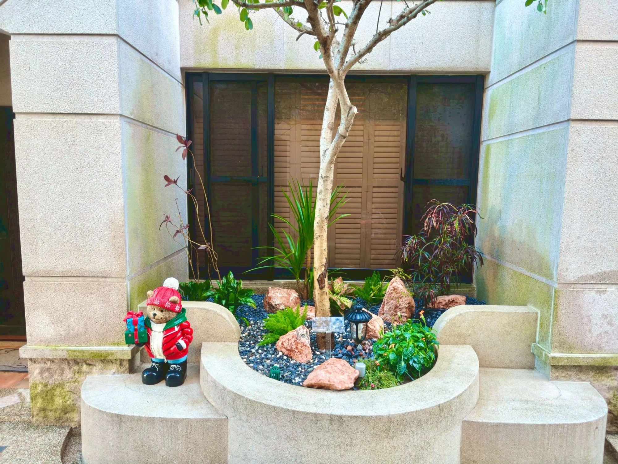 露臺/陽台/花台造景