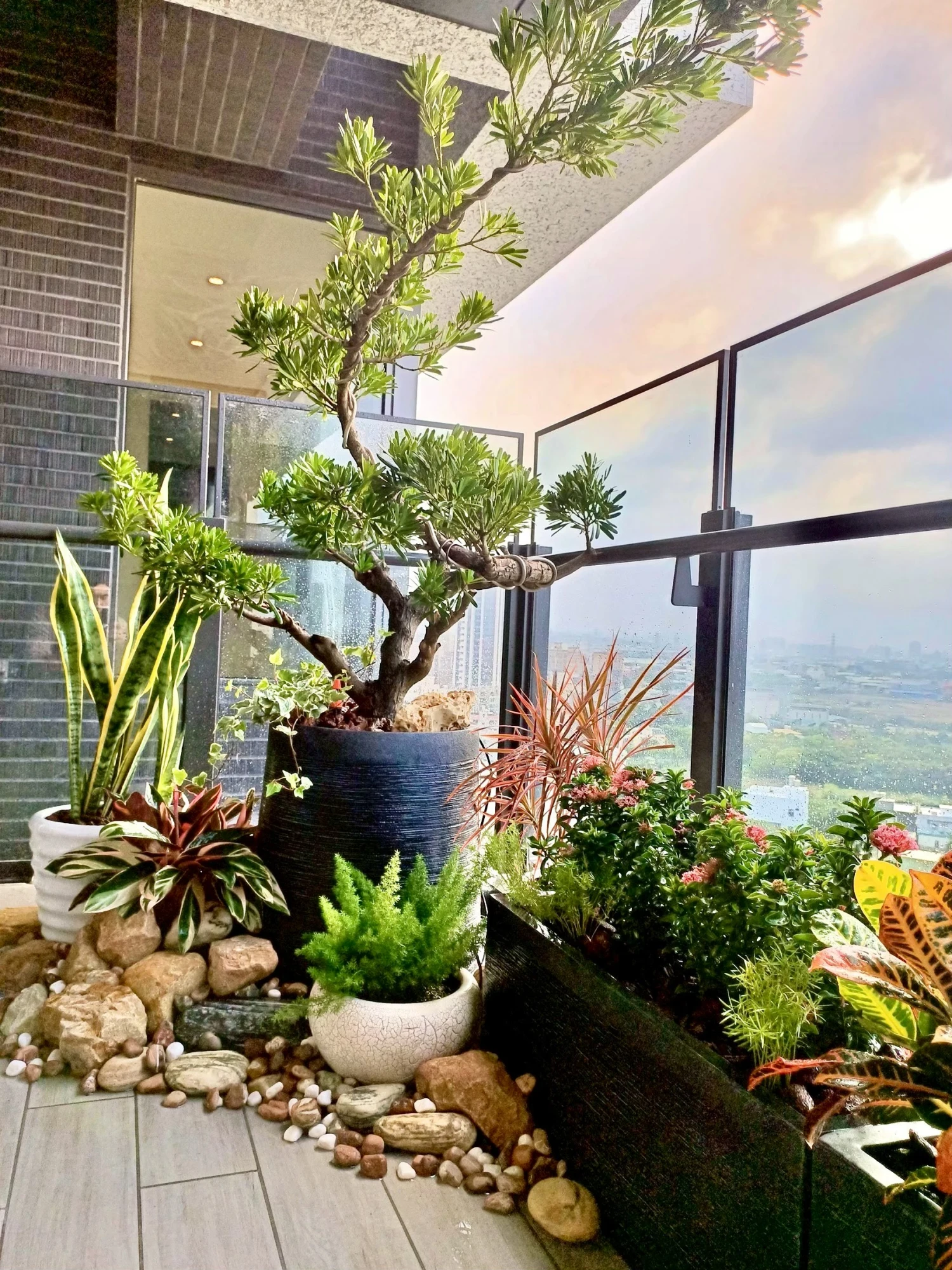 露臺/陽台/花台造景