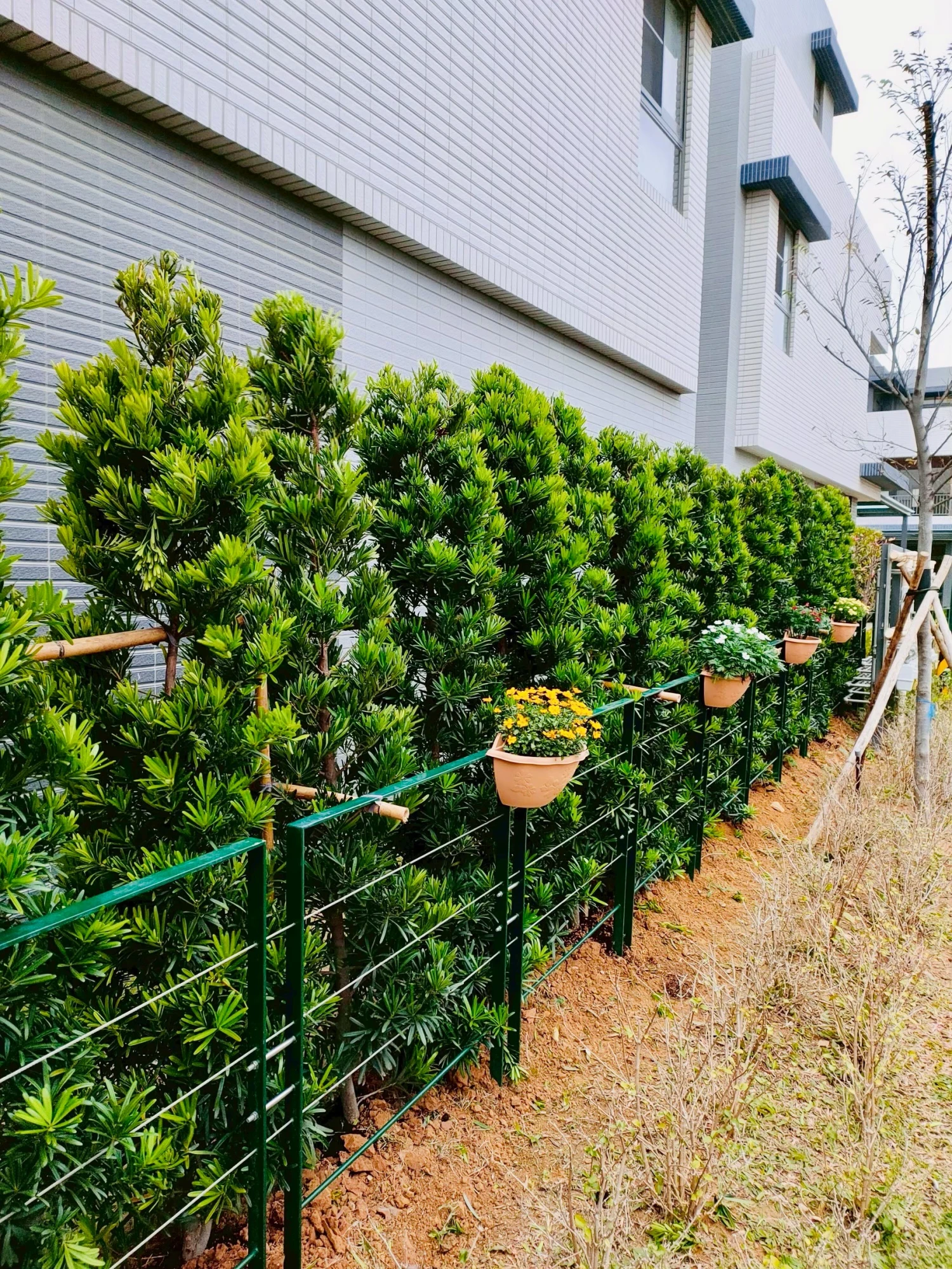 庭園造景
